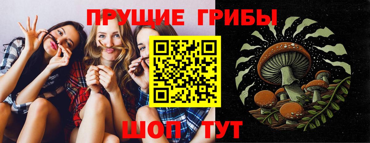 Галлюциногенные грибы прущие грибы Выборг